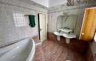 8 Camere | Herastrau | 335 mp utili | Teren 300 mp | - 12
