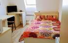Garsoniera de vanzare in bloc de apartamente, zona Lipovei Timisoara - 2