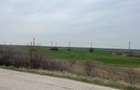 Giurgiu-Marsa Teren Agricol 8.5 Ha - 4