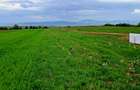 Parcele intravilan (590mp) cu PUZ, Panoramă frumoasă, 5 km de la Sfântu Gheorghe - 2