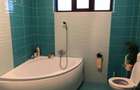 Vila individuala    P+1   Dr. Bisericii   teren 720mp - 12
