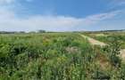 Otopeni Ferme teren intravilan 20000 mp deschidere 61,5 m - 1