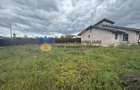 Casa+ teren de vanzare Dumbrava Rosie - 4