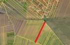 Teren intravilan, 7000 mp, zona Preajba noua-Damila - 2