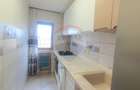Apartament cochet cu 2 camere de inchiriat- Central- Calea Romanilor - 6