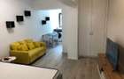 STUDIO AVRIG RESIDENCE, PARCARE SUBTERANA, MASINA DE SPALAT VASE - 2