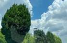 Apartament 2 camere Decebal, centrala proprie, parcare inclusa - 10