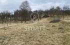 Teren intravilan cu CF 5400mp front 17 Savadisla jud Cluj - 15