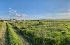 Teren Corbeanca, Balotesti, retras, cu pădure si lac in apropiere - 2