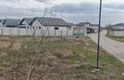 Comuna Berceni-Ciresilor-teren dezvoltare imobiliara - 11