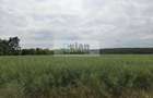 Ciolpani - Padurea Snagov 700 mp, Toate utilitatile, Padure, 18 deschi - 3