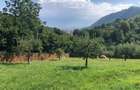 De vanzare teren unic in Brasov (vedere panoramica asupra orasului) - 1