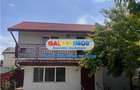 VILA DE VANZARE CHITILA | CURTE PROPRIE 236MP - 1