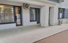 Iancu Nicolae/ Apartament cu 3 camere/ Gradina proprie/Parcare/ - 9