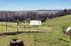 Casă modernă Feleacu | Panoramă | Teren generos - 4