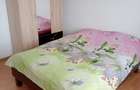 Casă tip studio de închiriat – Șura Mare | 36 mp | Priveliste superbă - 6
