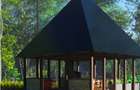 Proiect resort premium lângă Sovata - Campu Cetatii (teren+ 16 vile+ restaurant) - 10