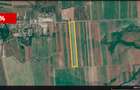 Teren agricol 12.500 mp | Deschidere directă DN61 | Dublu acces | Corbii Mari - 4