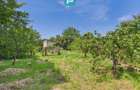 Casă individuală zonă centrală - teren 940 mp - 41
