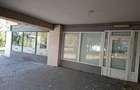 INCHIRIERE-SPATIU COMERCIAL-NICOLINA - 4