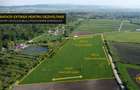 TEREN 45.000 MP | PUZ APROBAT | 156 M FRONT DN11 | PREJMER - BRASOV - 3