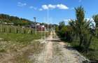 TEREN 600 MP | VEDERE PANORAMICĂ | LA MARGINEA PĂDURII | Tocile, SIBIU - 6