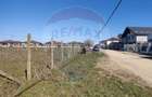 Teren intravilan de vanzare 2.500mp Lazu  Strada Olarilor Constanta - 3
