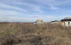Teren intravilan 7478 mp Bucov, parcelabil, ideal investiție - 5