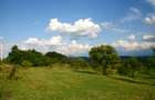 Teren extravilan de vânzare | 600 mp | Daia Nouă - 1