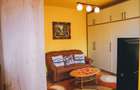 Casă renovată integral 4 camere + garaj | Piața Cluj, Str. Paris, Sibiu - 20