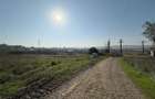 Teren pentru hala, Uricani, zona Dedeman, 3001mp - 5