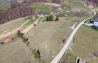 🌿 Teren Intravilan 3.791 mp | Priveliște Panoramică Superbă | Poiana Mărului - 24
