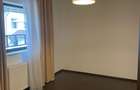 Iancu Nicolae 6 bedrooms villa - 12