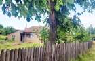 Teren la Lipia - Merei cu front stradal de peste 65 m, se vinde și parțial - 2