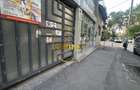 Sp comercial | Teiul Doamnei | 51mp | Disponibil Imediat - 5