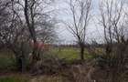 Jilava - Centura Bucuresti - teren intravilan 423 mp - 4