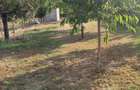 Casa cocheta cu livada si teren 1.200 mp-aproape de Pitesti - 29