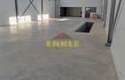 De închiriat Hala in Mănăstirea Doamnei - 2