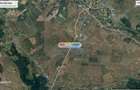 Adunatii Copaceni teren intravilan  14700 mp,deschidere 62m - 1