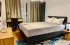 Apartament 2 dormitoare Cornisa UMF etaj 1 - 6