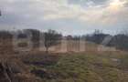 Casa de vanzare, cu 7 camere, 350 mp u & 2850 mp teren - 18