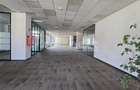 Birouri moderne de inchiriat 900 mp I Parcare subterana I Ultracentral Cluj - 12