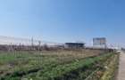 Vand 30500mp teren intravila DN65 B langa Royal Motors, limita Pitesti - 4