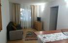Apartament 2 camere - zona Brotacei - 64.000 euro (Cod E2+E7) - 10