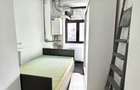 Spatiu Comercial Vasile Lascar - 10