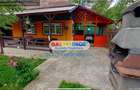 Vanzare casa de vacanta Slanic Prahova - 2