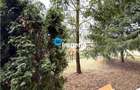 Duplex nou de inchiriat, 4 cam, 2 bai, Cicoarei , Arcadia Iasi - 2