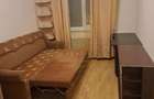 Ap.3 camere decomandat Grigo, pet friendly! - 12