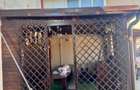 Casa de vanzare in Chiajna - 2 corpuri locuibile + spatiu comercial - 22