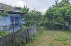 VANZARE CASA | TEREN 2500 MP | LIVADA SI VIE | SAT BREBINA – SCRIOASTEA - 9